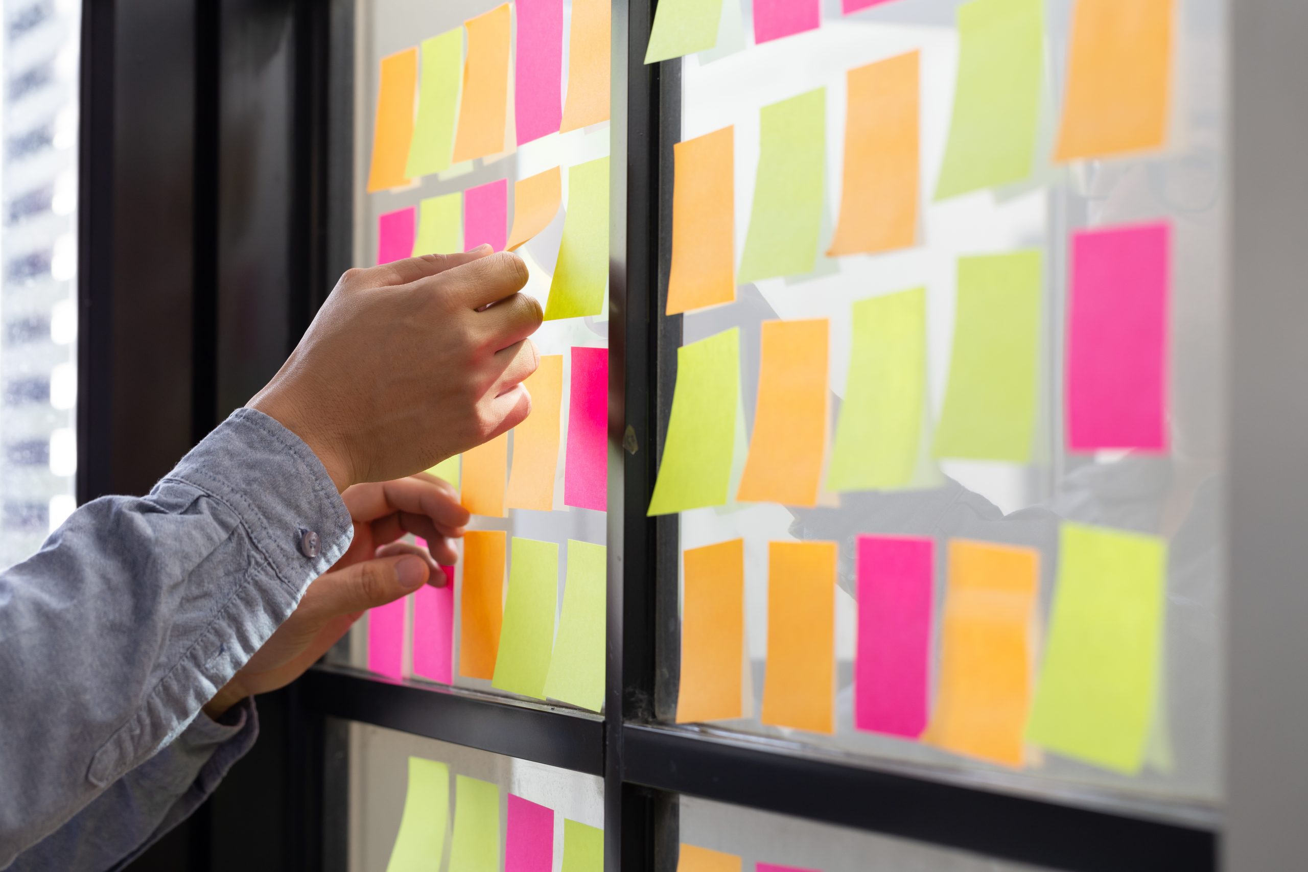 Software Project Manager