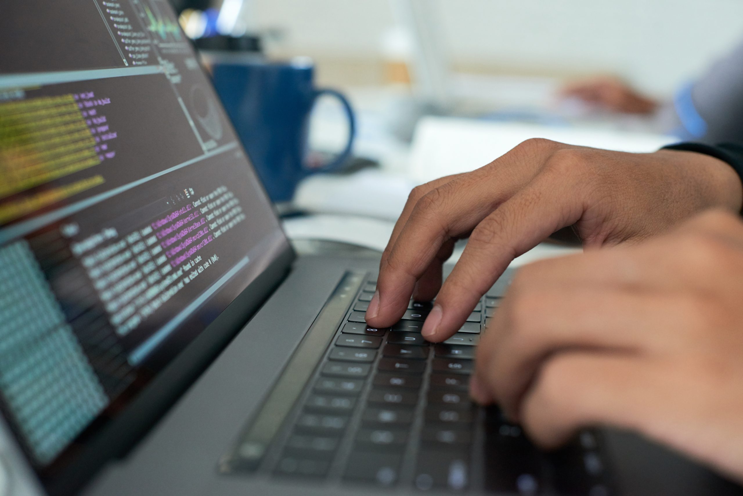 Software Project Manager